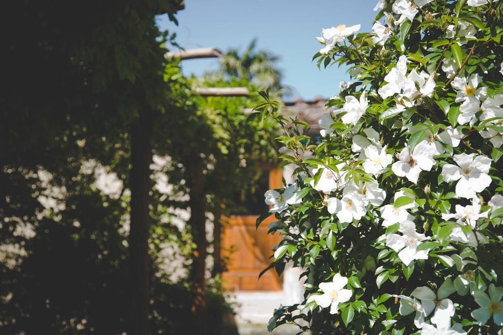 Villa Michaela Vorno Exterior photo